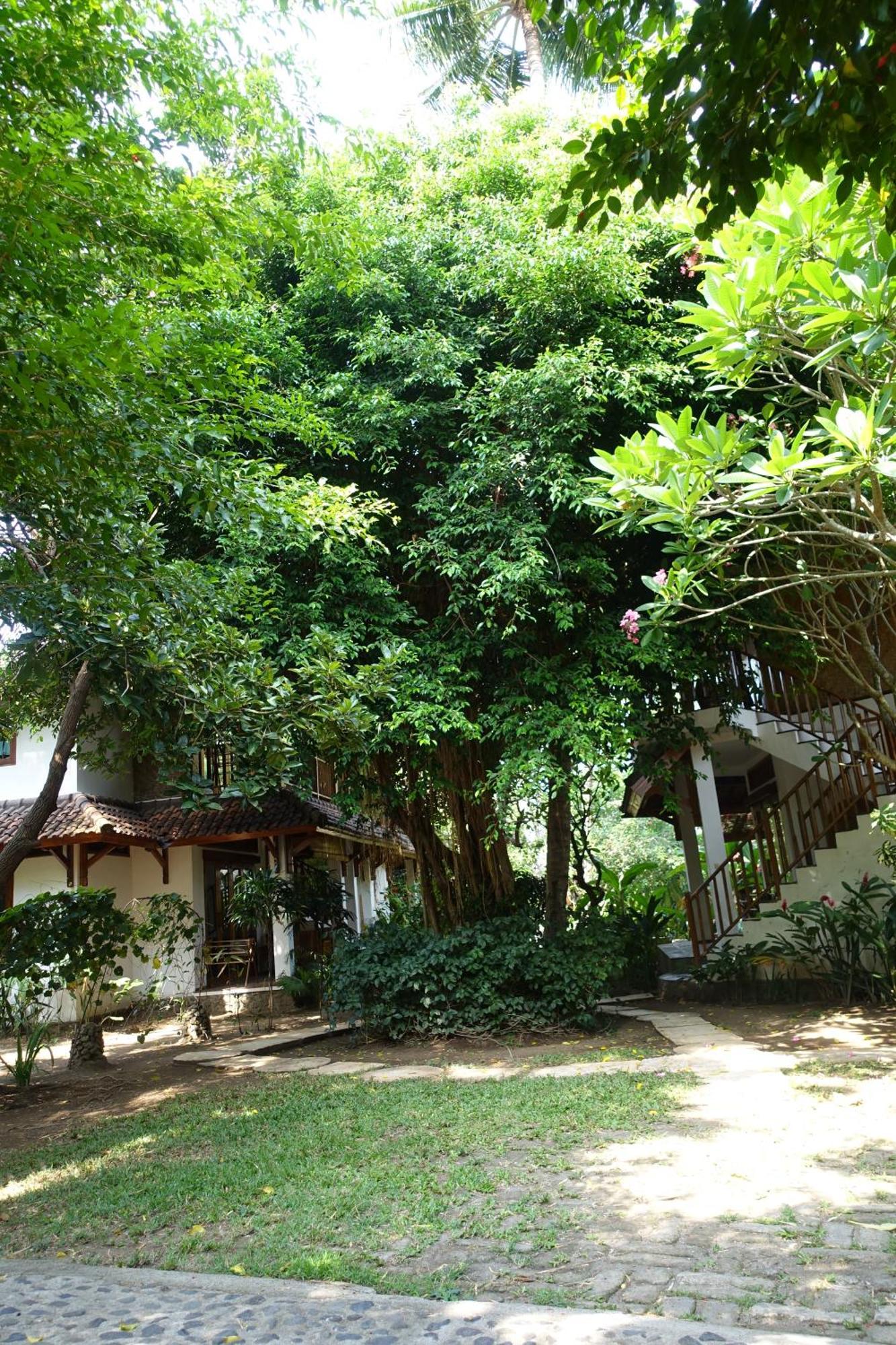 Villa Jati Mangsit Senggigi Exterior photo